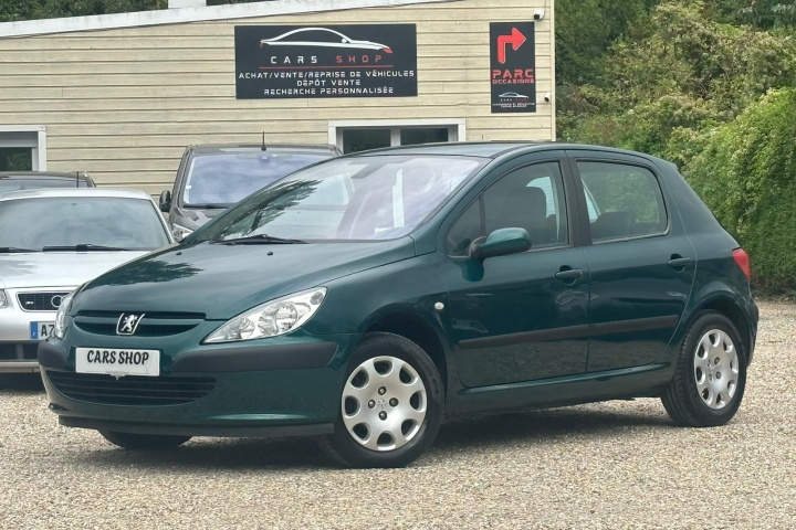 PEUGEOT 307
