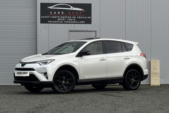 TOYOTA RAV4 HYBRIDE RC18 PRO